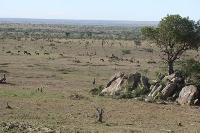 Tailor Made Holidays & Bespoke Packages for Four Seasons Safari Lodge Serengeti